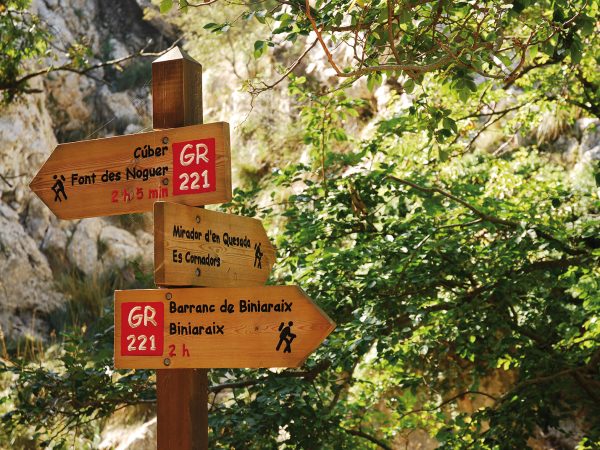 rutas