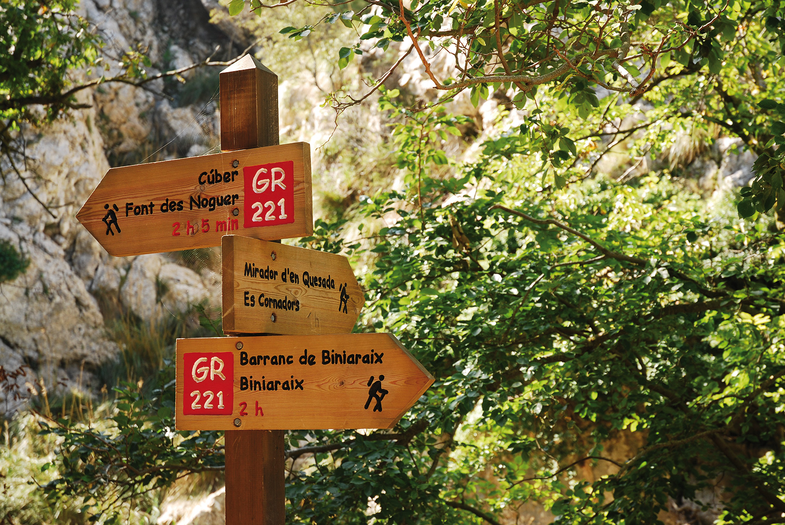 rutas
